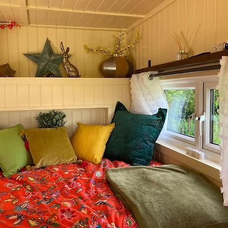 Neddys Rest Luxury Horsebox Stay باتيل المظهر الخارجي الصورة