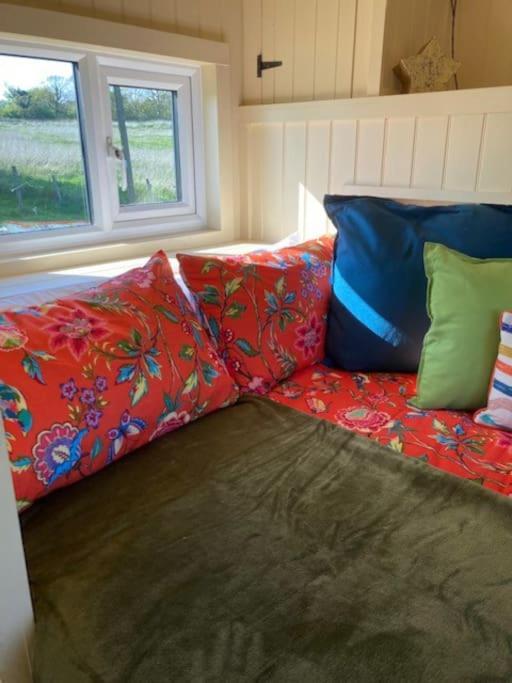 Neddys Rest Luxury Horsebox Stay باتيل المظهر الخارجي الصورة
