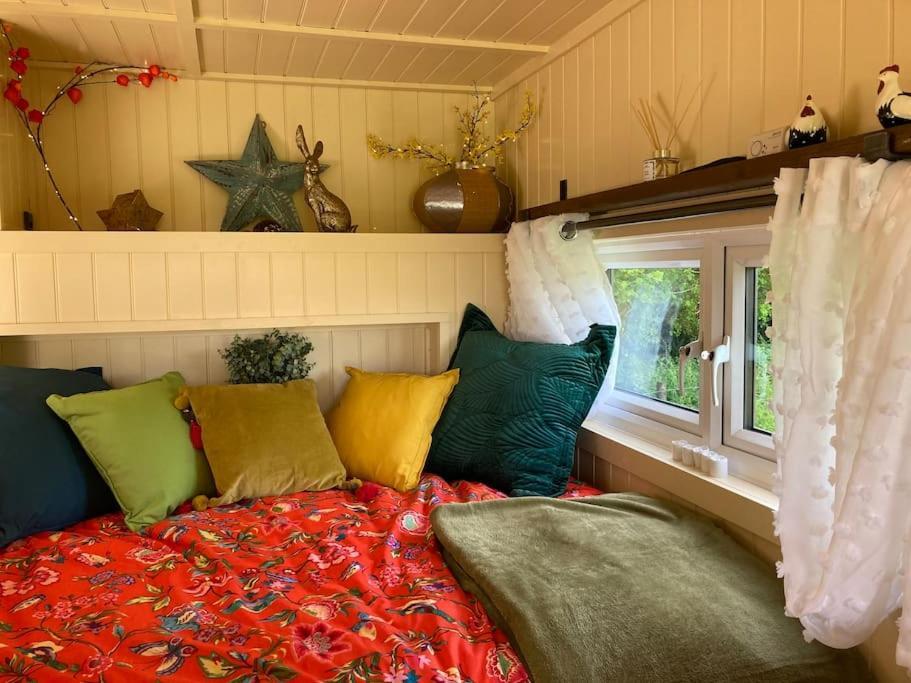 Neddys Rest Luxury Horsebox Stay باتيل المظهر الخارجي الصورة